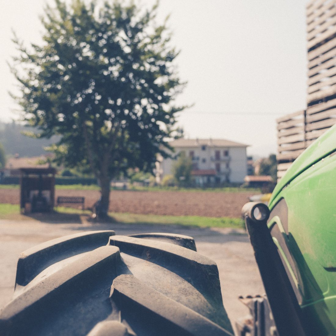 Azienda Agricola La Felicina — foto 7